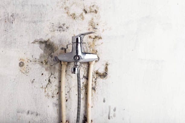 Best HVAC Mold Remediation in Angels, CA