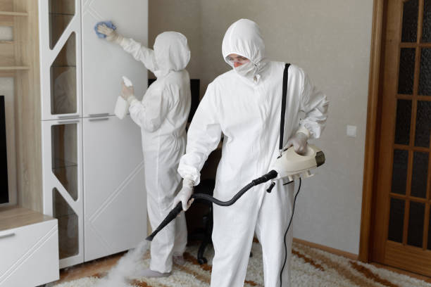 Best White Mold Remediation in Angels, CA