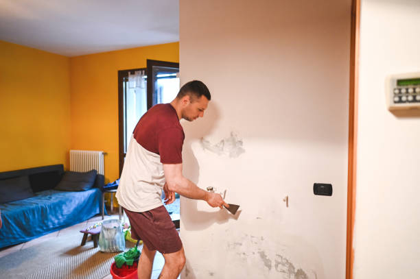 Best Crawl Space Mold Remediation in Angels, CA